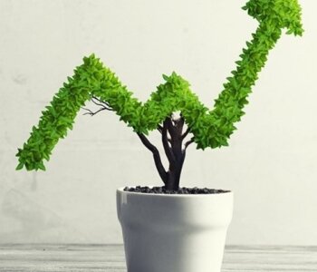 Basic SEO 