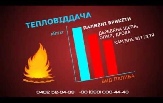 Видеоролик Брисеты и Палеты